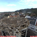 09_25-nest.jpg