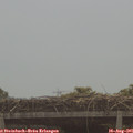 09_30-mast.jpg