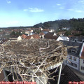 09_30-nest.jpg