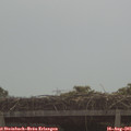 09_35-mast.jpg
