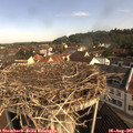 09_35-nest.jpg