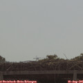 09_50-mast.jpg