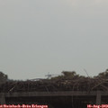 10_30-mast.jpg