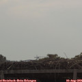10_40-mast.jpg