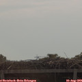 10_45-mast.jpg