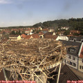 10_55-nest.jpg