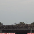 11_30-mast.jpg