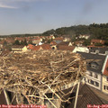 11_30-nest.jpg