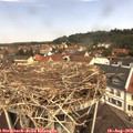 11_40-nest.jpg