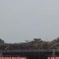 12_05-mast.jpg