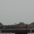 12_15-mast.jpg
