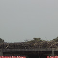 12_20-mast.jpg