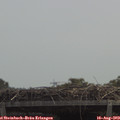12_25-mast.jpg