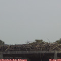 12_35-mast.jpg