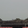 12_40-mast.jpg