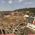 12_45-nest.jpg