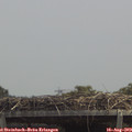 13_05-mast.jpg