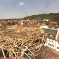 13_05-nest.jpg