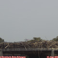 13_10-mast.jpg