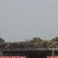 13_15-mast.jpg