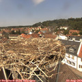 13_15-nest.jpg