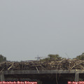 13_20-mast.jpg