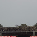 13_25-mast.jpg