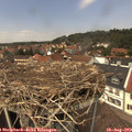 13_25-nest.jpg