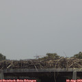 13_30-mast.jpg