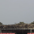 13_35-mast.jpg