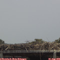 13_40-mast.jpg