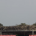 13_45-mast.jpg