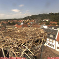 13_45-nest.jpg