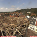 13_50-nest.jpg