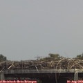 14_00-mast.jpg