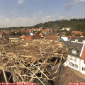 14_05-nest.jpg