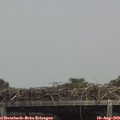 14_10-mast.jpg