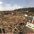14_10-nest.jpg