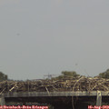 14_15-mast.jpg