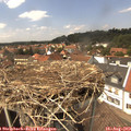 14_15-nest.jpg