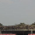 14_20-mast.jpg