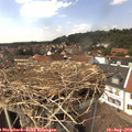 14_20-nest.jpg