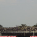 14_25-mast.jpg