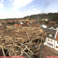 14_25-nest.jpg