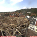 14_30-nest.jpg