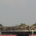 14_35-mast.jpg