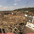 14_35-nest.jpg