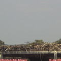 14_40-mast.jpg