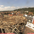 14_40-nest.jpg