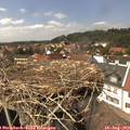 14_45-nest.jpg